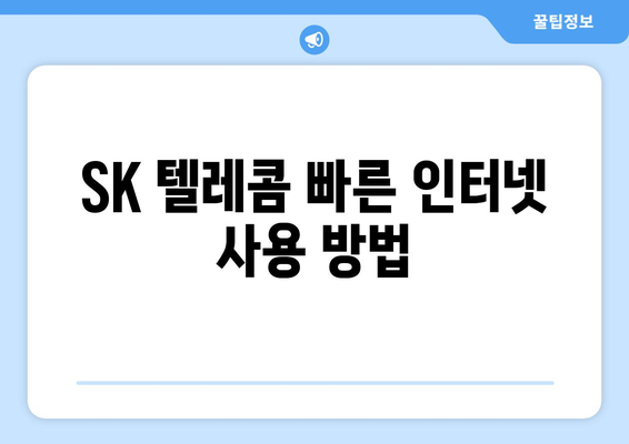 통신사 인터넷 속도 향상 팁: LG, SK, KT