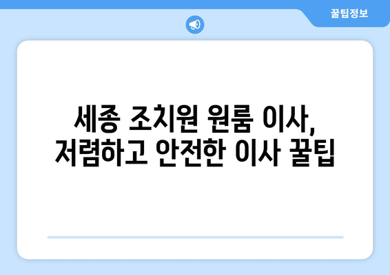 세종특별자치시 세종시 조치원읍 이삿짐센터 원룸이사 포장이사 이사비용 견적